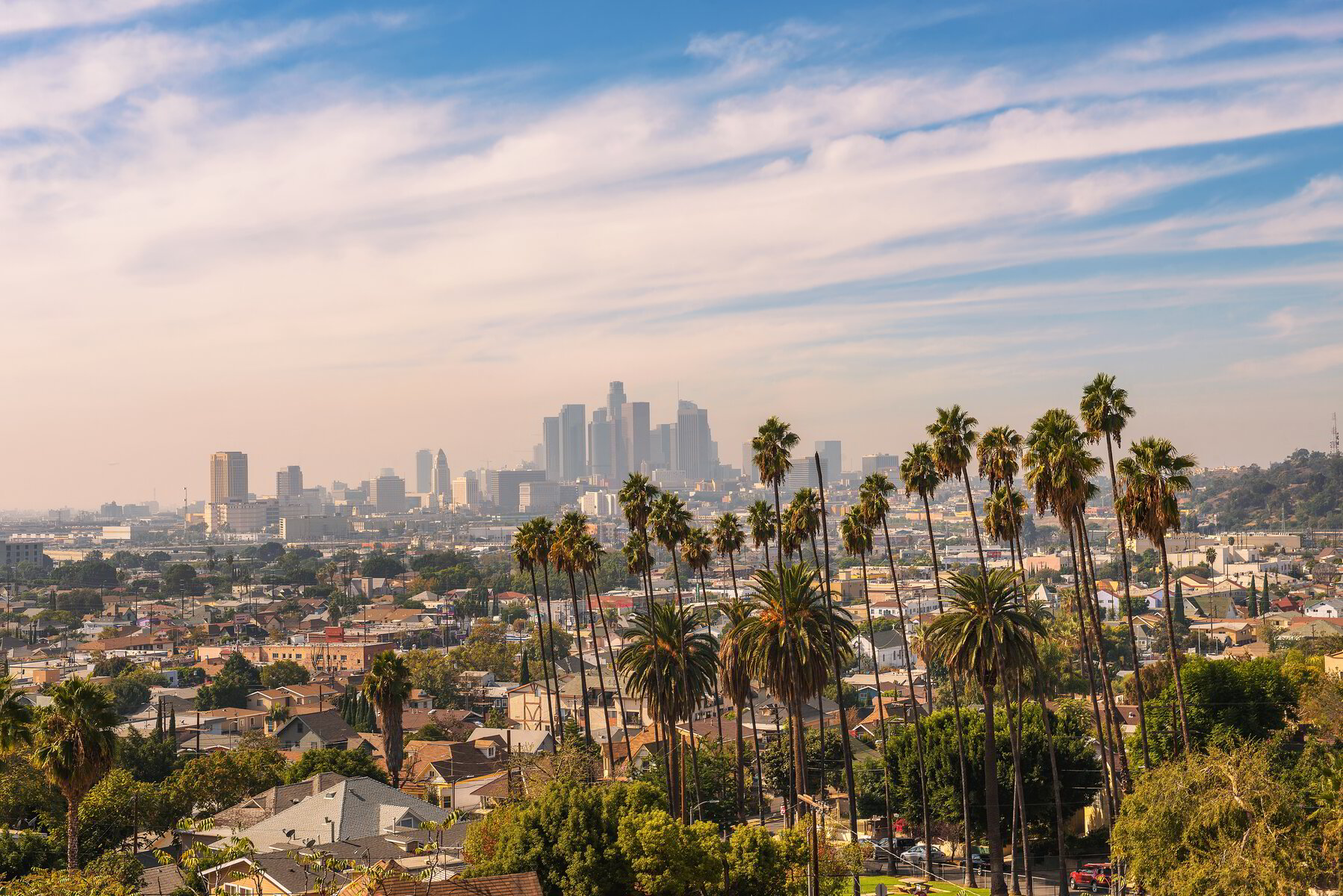 los-angeles-area-code-310